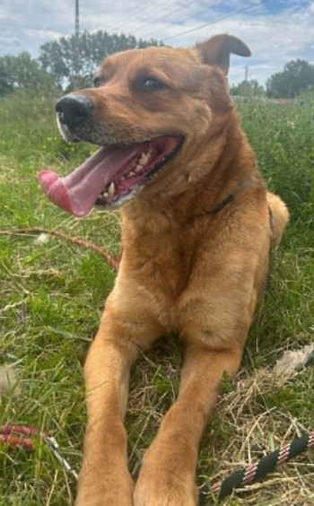 Photo LASKA 2