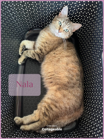 Nala