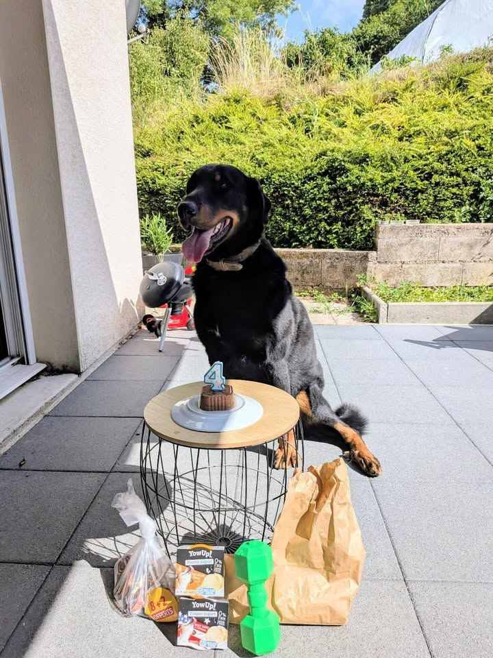 Bon anniversaire Taîko