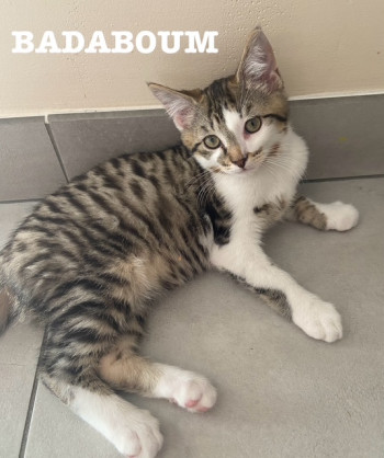Badaboum