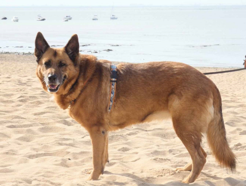 Maddy en Vendée