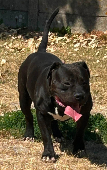 Photo LOKO 3