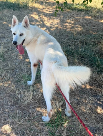 Photo ODIN 3
