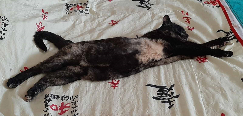 Ninette et maintenant Canelle