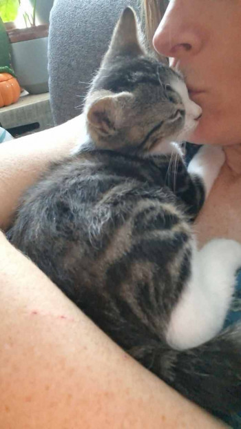 Bout de chou