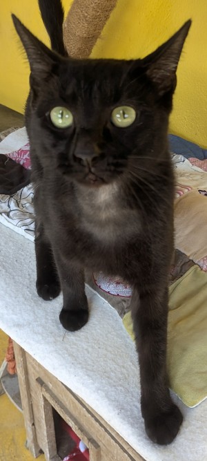 Photo REGLISSE 2