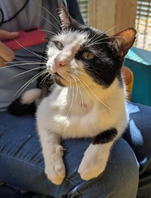 Photo chat TIMOUNE
